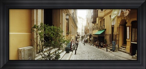 Framed Cobblestone street in Istanbul, Turkey Print