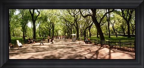 Framed Central Park, New York City, New York State Print