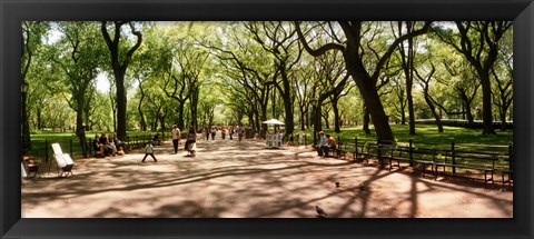 Framed Central Park, New York City, New York State Print