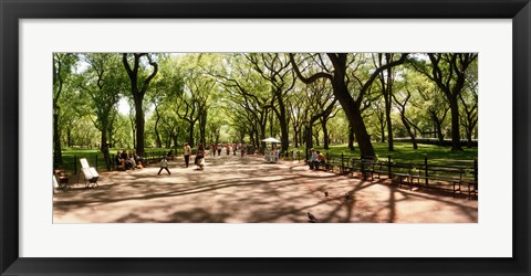 Framed Central Park, New York City, New York State Print