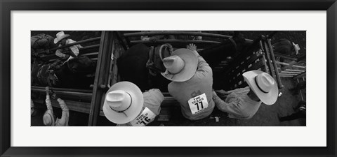 Framed High angle view of cowboys with horses at rodeo, Wichita Falls, Texas, USA Print