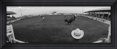 Framed Cowboy riding bull at rodeo arena, Pecos, Texas, USA Print