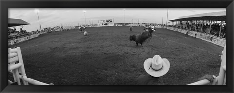 Framed Cowboy riding bull at rodeo arena, Pecos, Texas, USA Print