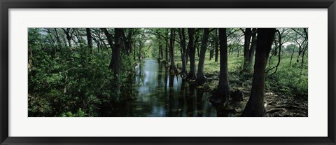 Framed Trees along Blanco River, Texas, USA Print