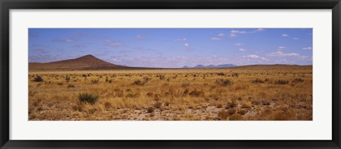 Framed Dry grass and bush at Big Bend National Park, Texas, USA Print