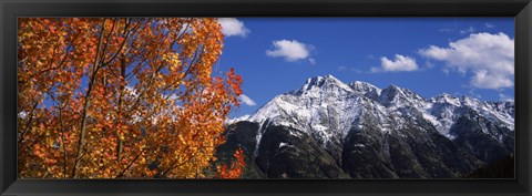 Framed Autumn Trees and snowcapped mountains, Colorado Print