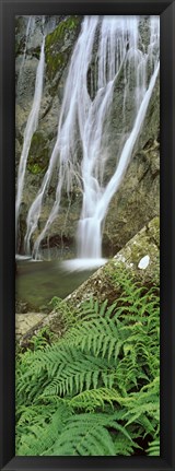 Framed Ferns and the Aber Falls, Abergwyngregyn, Gwynedd, Wales Print