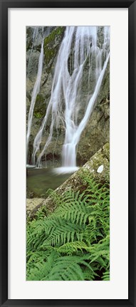 Framed Ferns and the Aber Falls, Abergwyngregyn, Gwynedd, Wales Print