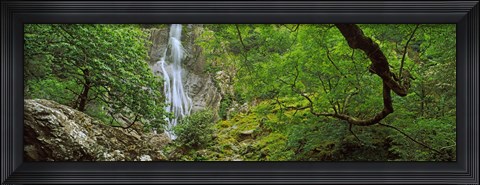 Framed Aber Falls in a forest, Abergwyngregyn, Gwynedd, Wales Print