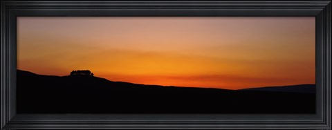 Framed Silhouette of a tree at dusk, Kirkcarrion, Middleton-In-Teesdale, County Durham, England Print
