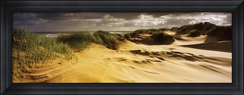 Framed Marram grass on the beach, Sands of Forvie, Newburgh, Aberdeenshire, Scotland Print