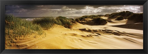 Framed Marram grass on the beach, Sands of Forvie, Newburgh, Aberdeenshire, Scotland Print