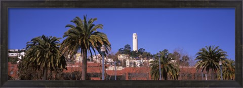 Framed Palm trees with Coit Tower in background, San Francisco, California, USA Print