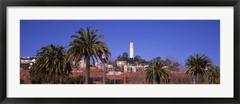 Framed Palm trees with Coit Tower in background, San Francisco, California, USA Print