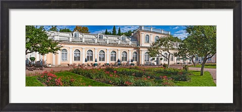Framed Garden outside a palace, Peterhof Grand Palace, St. Petersburg, Russia Print