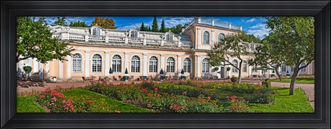 Framed Garden outside a palace, Peterhof Grand Palace, St. Petersburg, Russia Print