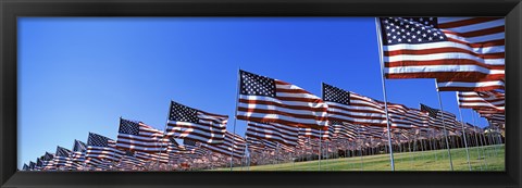 Framed American flags, Pepperdine University, Malibu, California Print