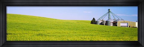 Framed Wheat field with silos in the background, Palouse County, Washington State Print