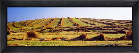 Framed Harvested wheat field, Palouse County, Washington State, USA Print