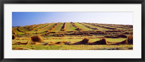 Framed Harvested wheat field, Palouse County, Washington State, USA Print