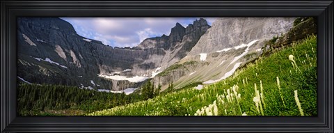Framed Beargrass with mountains in the background, Montana Print