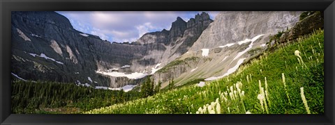 Framed Beargrass with mountains in the background, Montana Print