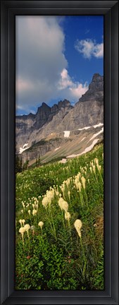 Framed Beargrass with Mountains, Glacier National Park, Montana Print