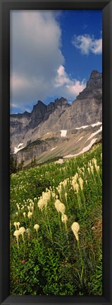 Framed Beargrass with Mountains, Glacier National Park, Montana Print