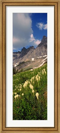Framed Beargrass with Mountains, Glacier National Park, Montana Print