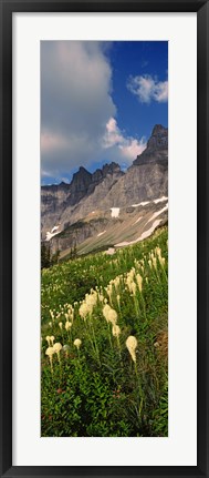 Framed Beargrass with Mountains, Glacier National Park, Montana Print