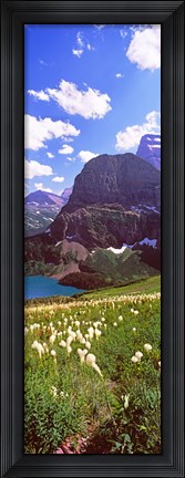 Framed Beargrass with Grinnell Lake in the background, US Glacier National Park, Montana Print