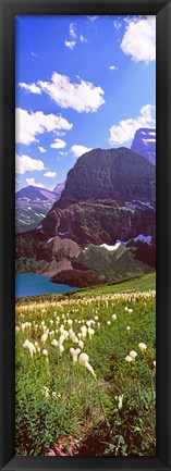 Framed Beargrass with Grinnell Lake in the background, US Glacier National Park, Montana Print