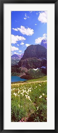 Framed Beargrass with Grinnell Lake in the background, US Glacier National Park, Montana Print