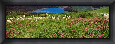 Framed Beargrass with Grinnell Lake in the background, Montana Print