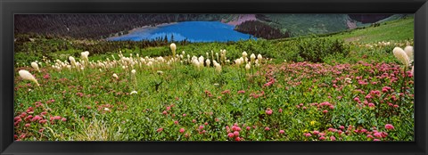 Framed Beargrass with Grinnell Lake in the background, Montana Print