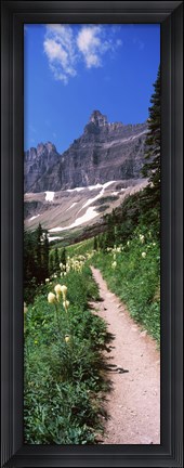Framed Hiking trail at US Glacier National Park, Montana, USA Print