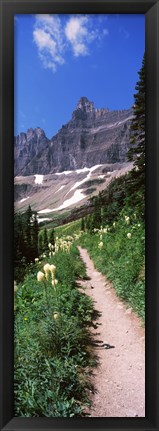 Framed Hiking trail at US Glacier National Park, Montana, USA Print