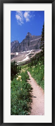 Framed Hiking trail at US Glacier National Park, Montana, USA Print