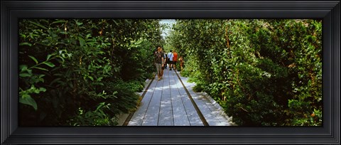 Framed People walking on walkway in an elevated park, High Line, New York City, New York State, USA Print
