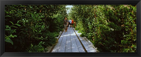 Framed People walking on walkway in an elevated park, High Line, New York City, New York State, USA Print