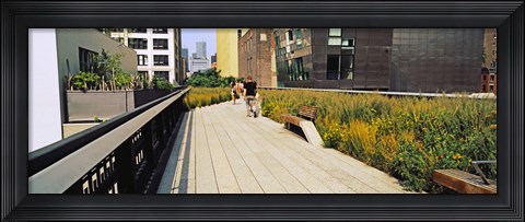Framed Walkway in a linear park, High Line, New York City, New York State, USA Print