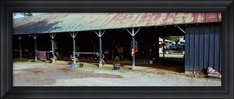 Framed Paddock at Saratoga Racecourse, Saratoga Springs, New York State, USA Print