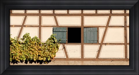 Framed Detail of half timber house and grape vines, Strumpfelbach, Baden-Wurttemberg, Germany Print