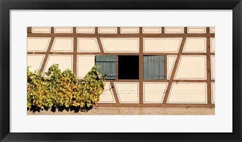 Framed Detail of half timber house and grape vines, Strumpfelbach, Baden-Wurttemberg, Germany Print