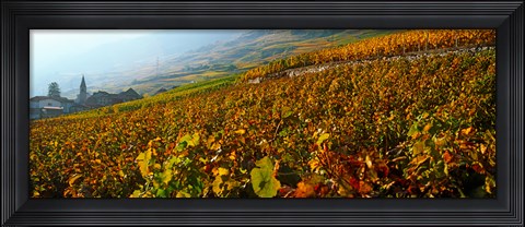 Framed Vineyards and village in autumn, Valais Canton, Switzerland Print