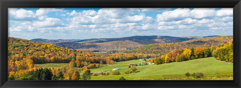 Framed Trees on hill during autumn, New York State, USA Print