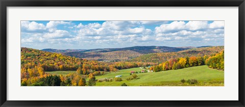 Framed Trees on hill during autumn, New York State, USA Print