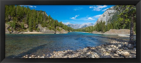 Framed River passing through a forest, Bow River, Banff National Park, Alberta, Canada Print