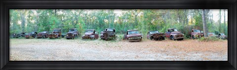 Framed Old rusty cars and trucks in a field, Crawfordville, Wakulla County, Florida, USA Print