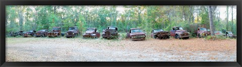 Framed Old rusty cars and trucks in a field, Crawfordville, Wakulla County, Florida, USA Print